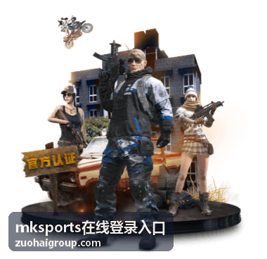 mksports在线登录入口登录异常对照与四步核对清单示意